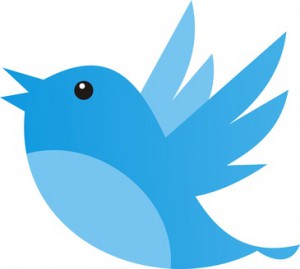 tweet bird